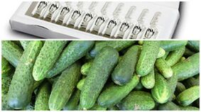 Recettes de masques pour le rajeunissement de la peau des mains